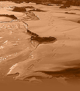 Early Morning Footprints Porthtowan Original Oil Painting on Canvas