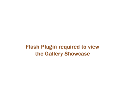 Placeholder for flash movie