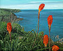 Port Gaverne - Tranquil Seascape Original Oil Painting on Canvas